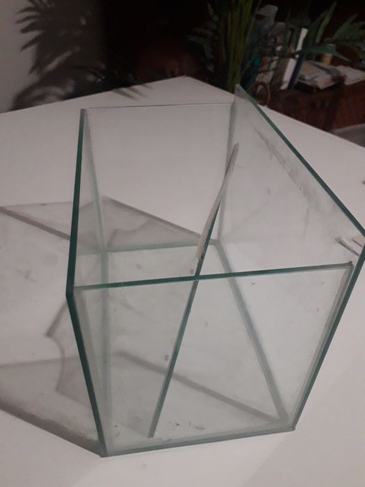 Aquário ou terrário