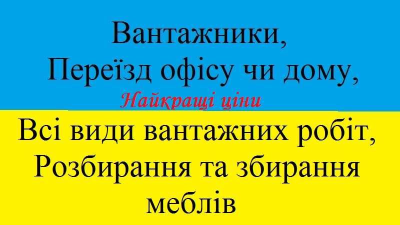 Вантажники. Допомога в переїздах. Розбір та збір меблів. Грузчики.