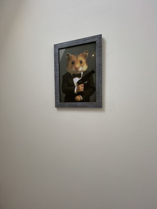 Готель Hamster 007. Центр Львова.