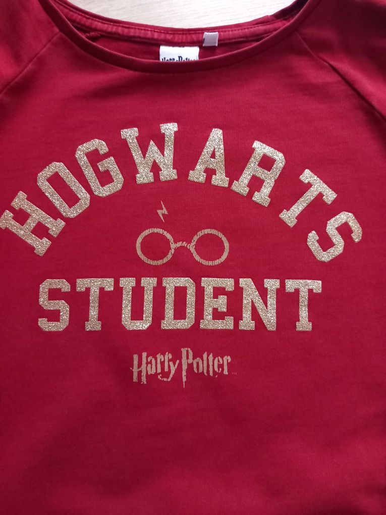 Bluza Harry Potter Hogwarts Student 146