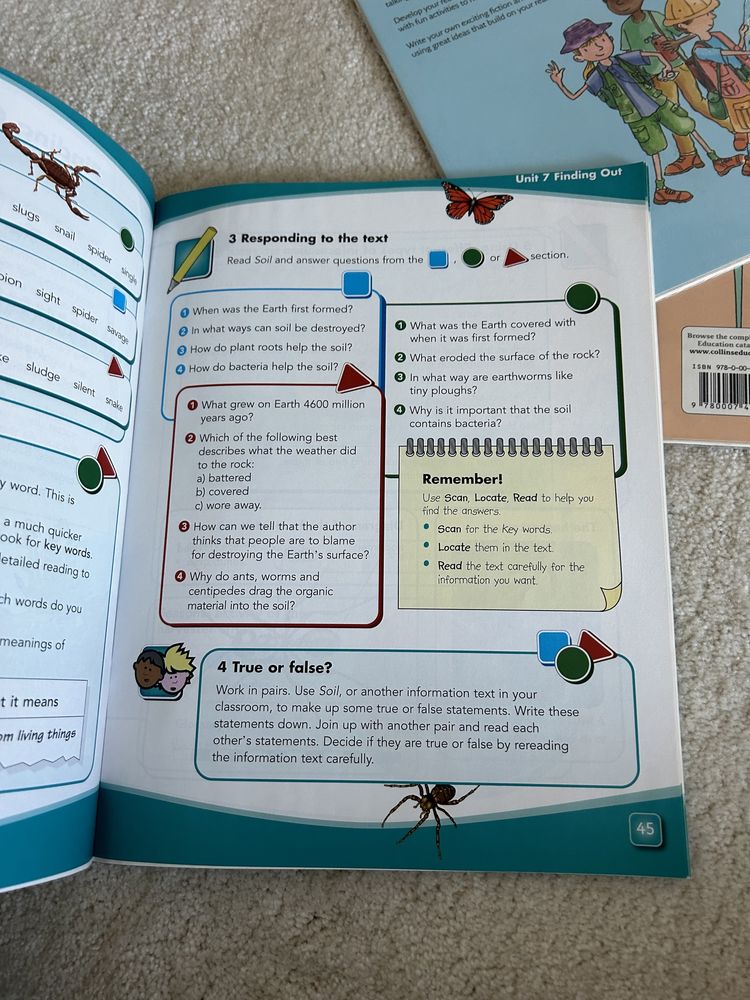 Collins primary focus / literacy f4