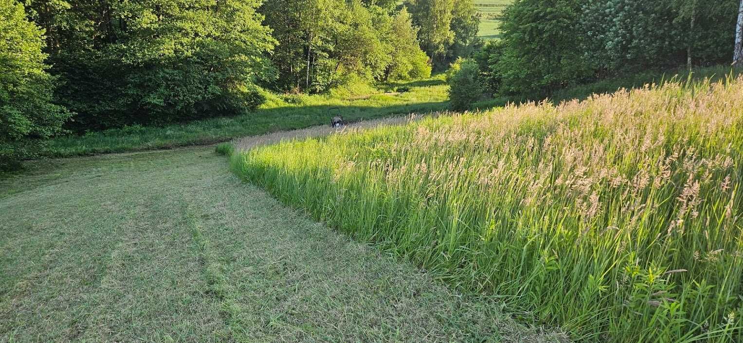 TRAK-MAL  kompleksowe usługi Koszenie trawy, Glebogryzarka separacyjna