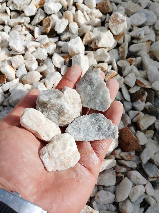 Cristal White/ Elegancja/ Jakość/ Darex