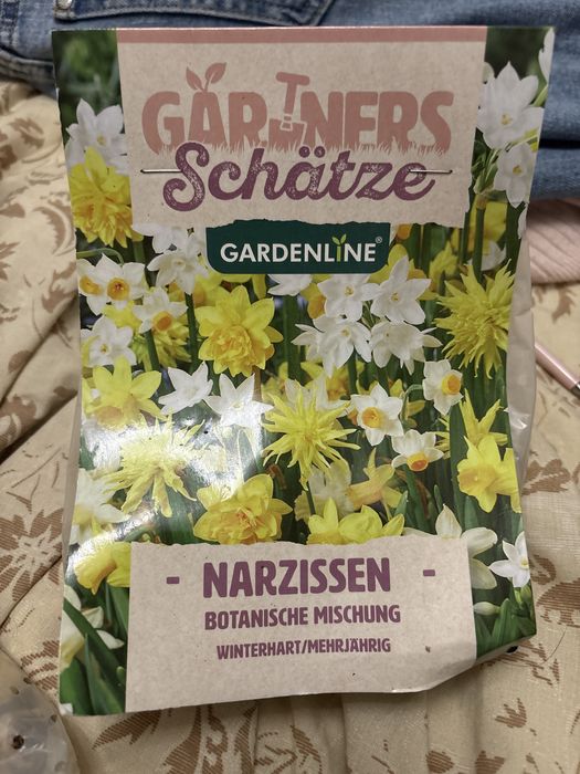 Цибулини нарцисів mix