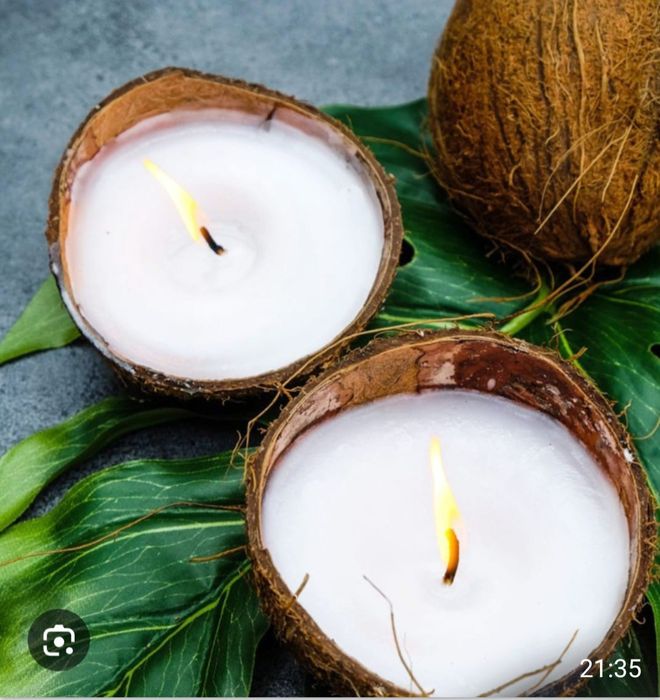 Cascas de côco limpas