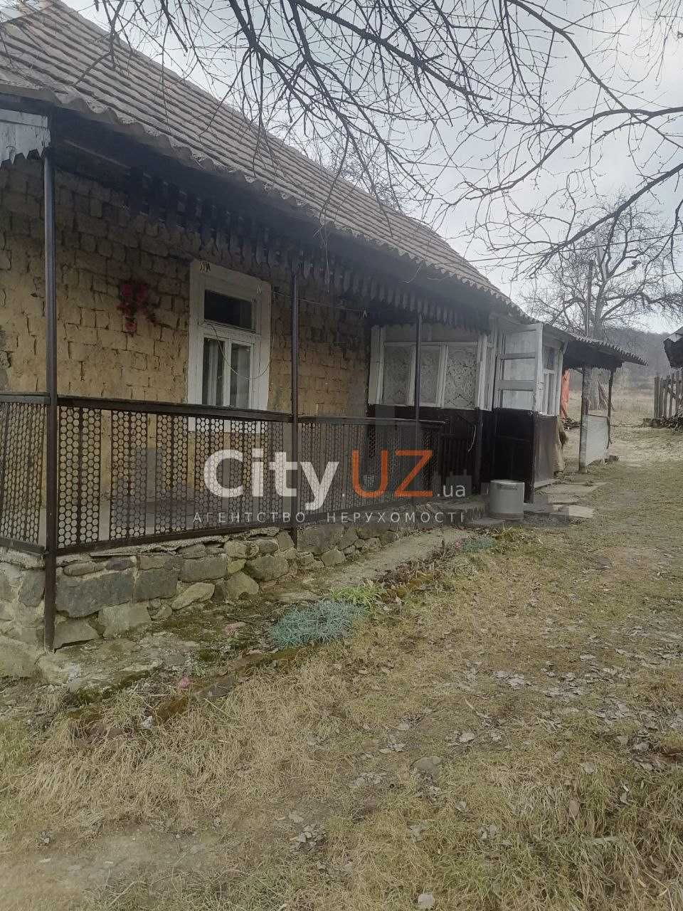 Продається будинок у мальовничому куточку Закарпаття с. Туриця