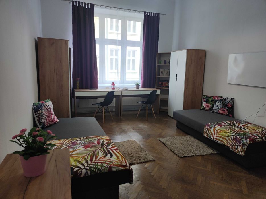 Duży ładny pokój  w mieszkaniu  w samym centrum Rzeszowa,