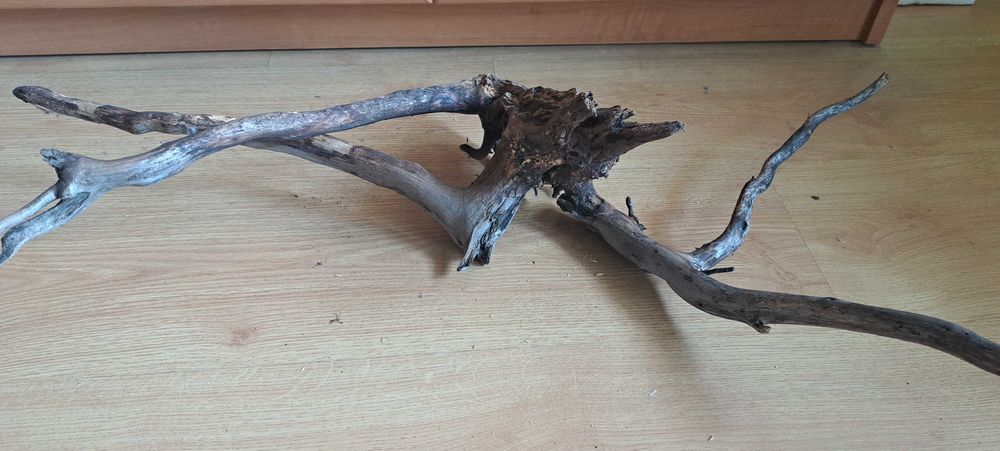 Korzeń do akwarium - terrarium