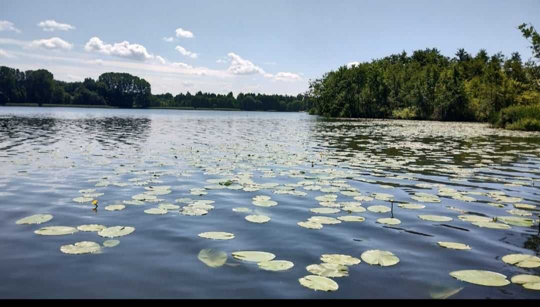 Działka rekreacyjna nad jeziorem koło Chodeczy