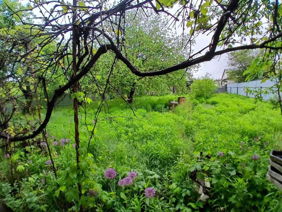 Будинок за містом