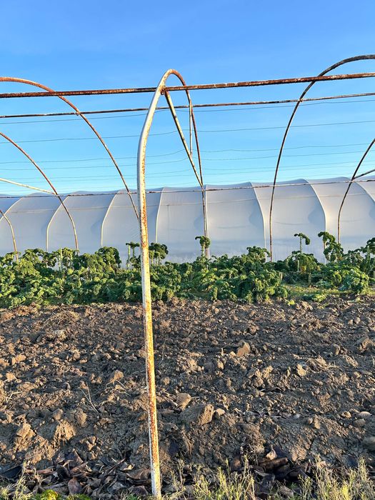 Tunele foliowe, konstrukcja tuneli 7 x 30
