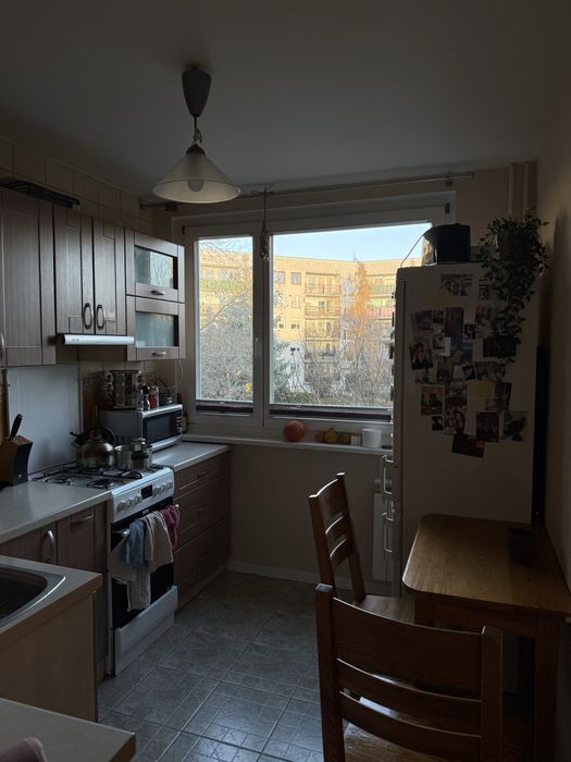 Pokój do wynajęcia