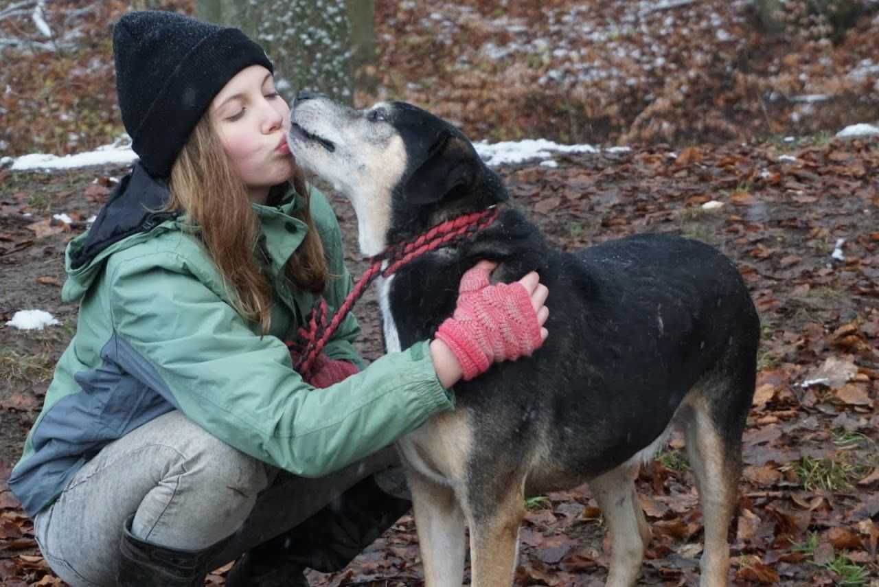 K-U-F-E-L - po śmierci właściciela,. utrzymuje czcystość. [FILMIKI]