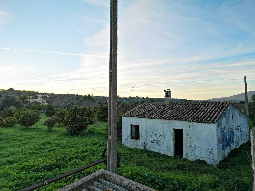 Quinta para recuperar com 22.480m² em Moncarapacho – a 5 min da Fuseta