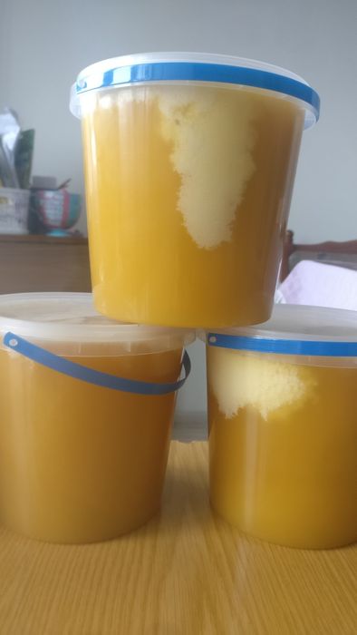 2025 Мед з власної пасіки