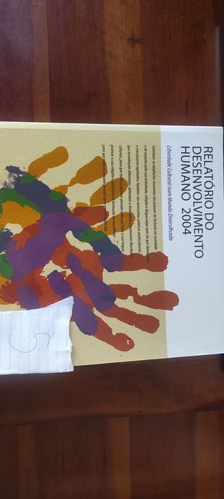 Relatório do desenvolvimento humano 2004
