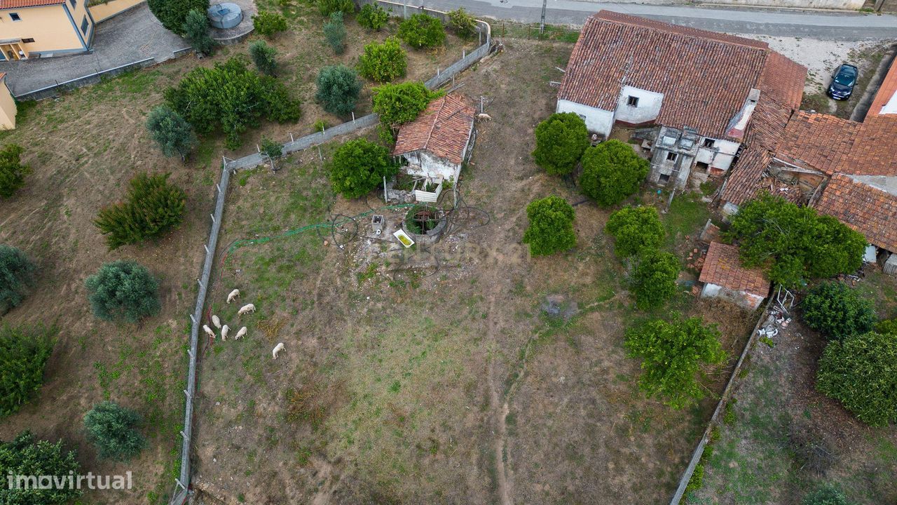 Quinta em Ferreira Zêzere