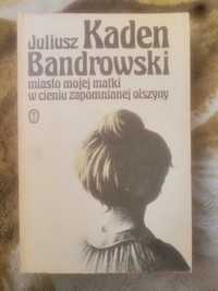 Miasto mojej matki w cieniu zapomniane olszyny J. K. Bandrowski