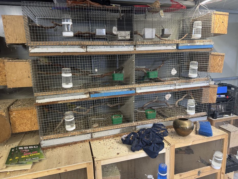 Regał / klatka / woilera dla papug