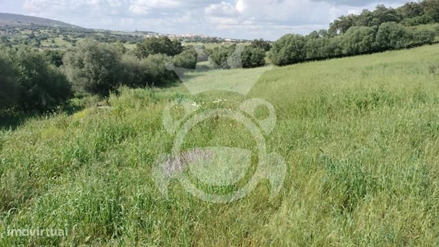 Terreno na zona de Monsaraz para construção