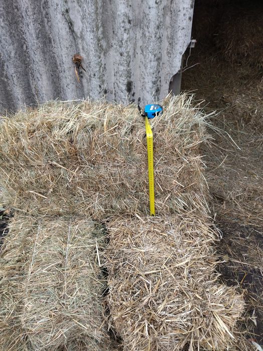 Продам тюки сіна і соломи за детальною інформацією звертайтесь за номе