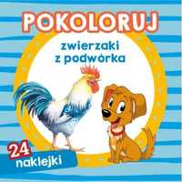 Pokoloruj zwierzaki z podwórka - Dorota Krassowska, Andrzej Kłapyta