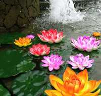 Sztuczny kwiat lotosu pływający