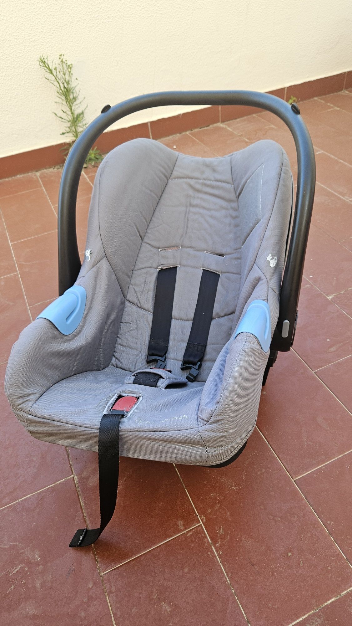 assento de carro