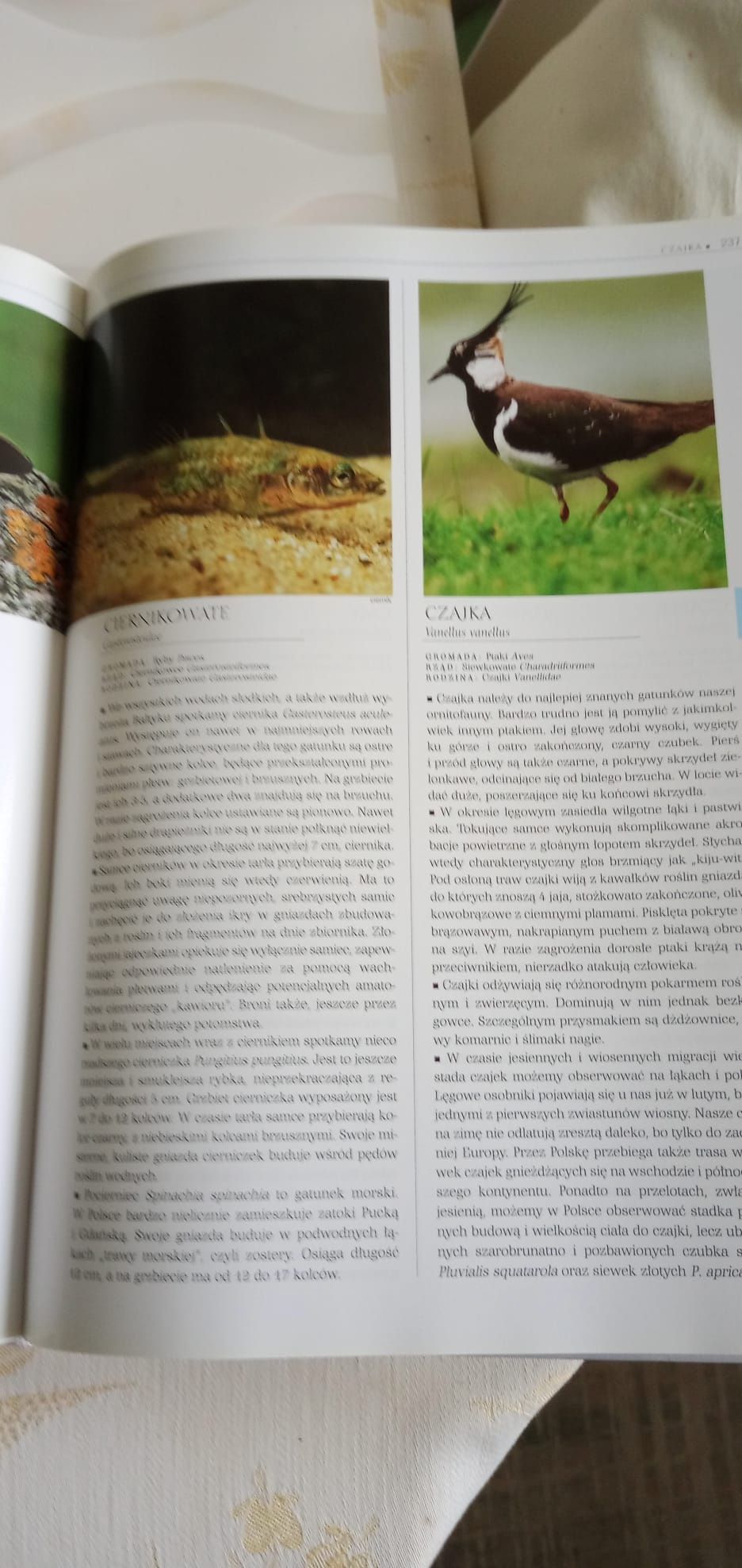 Encyklopedia Polski od A - do Z