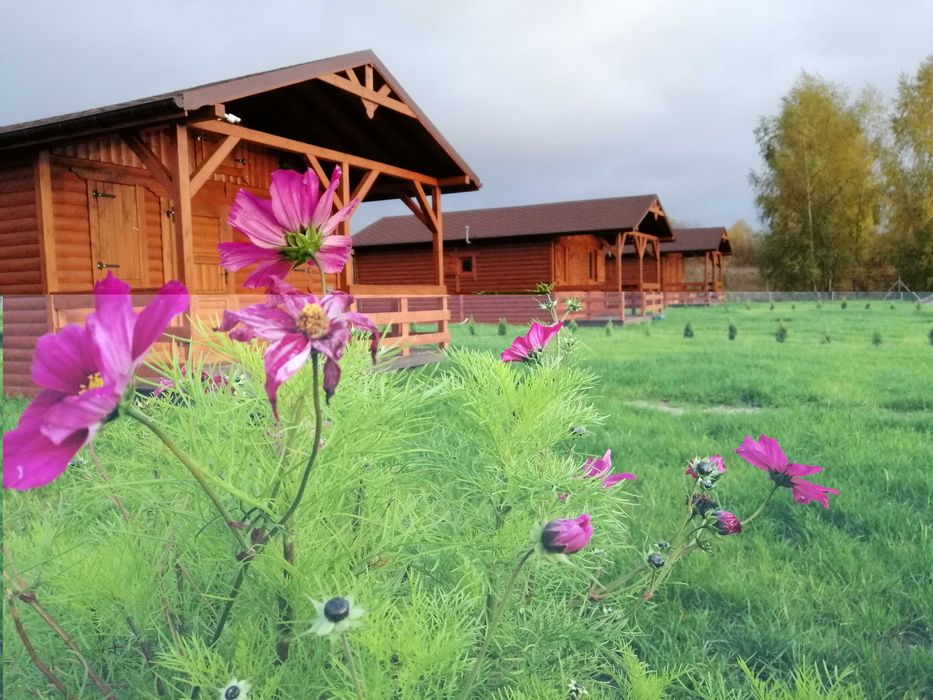 Działka - osada na sprzedaż Leleszki