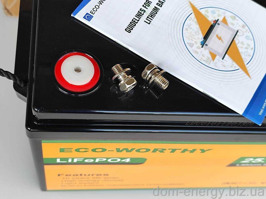 Гарантия 2 года Аккумулятор LiFePo4 100Ah 24В v Литий-железо-фосфатный