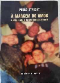 À Margem do Amor - Notas sobre delinquência juvenil