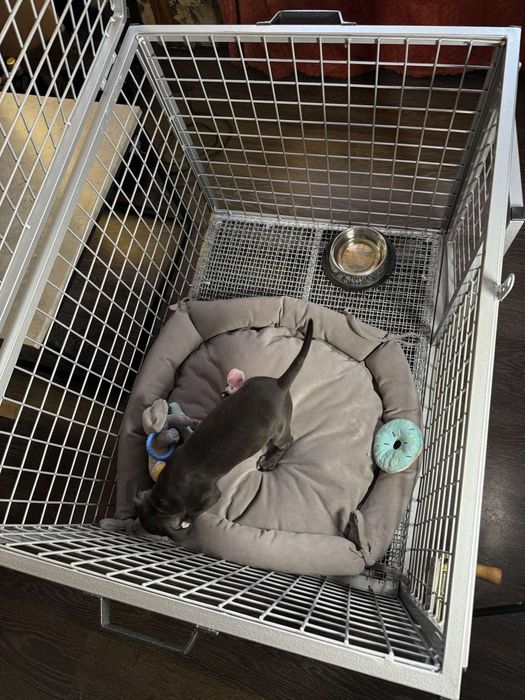 Продам переносний вольер для собак