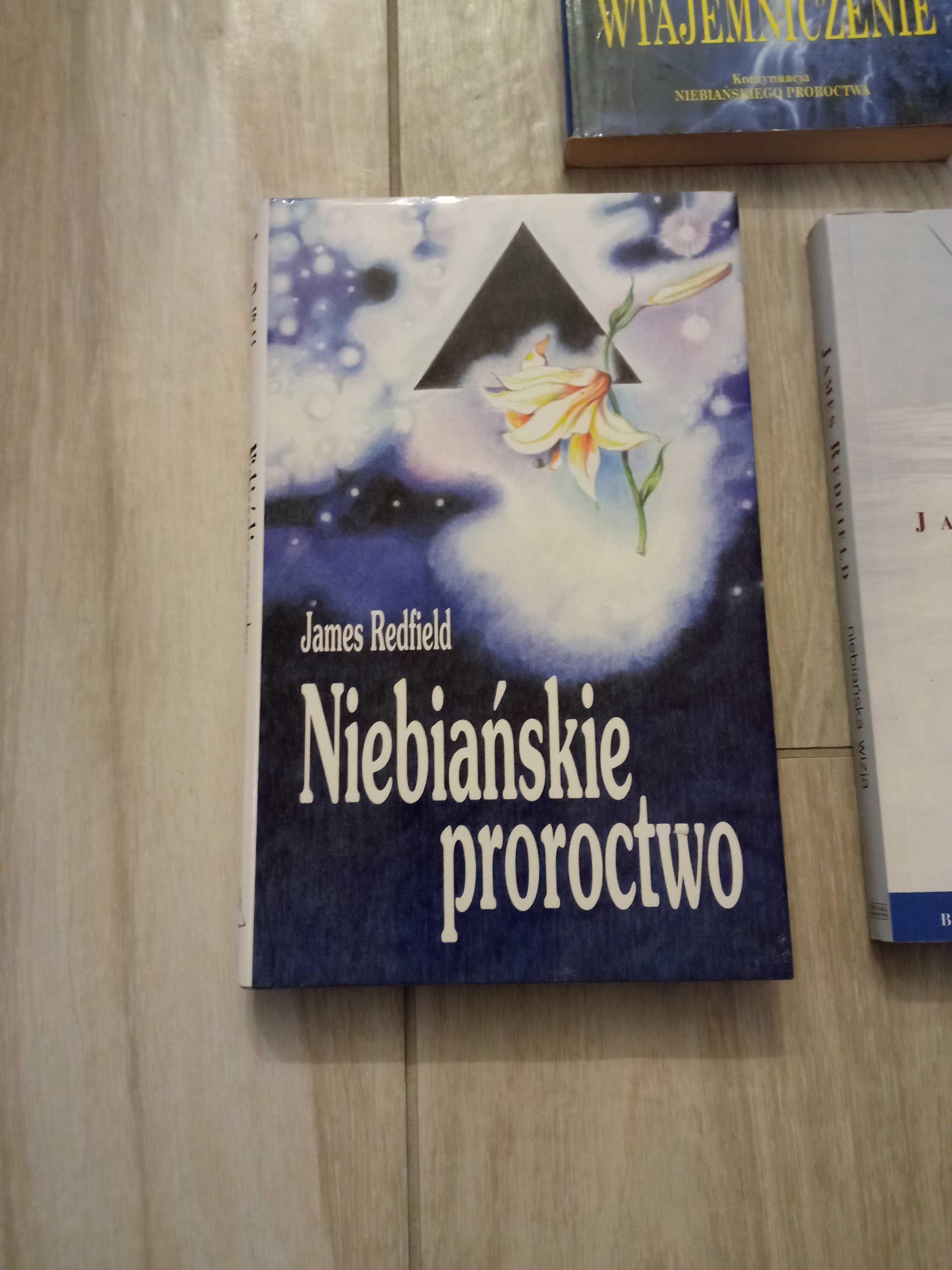 James Redfield Niebiańska wizja Niebiańskie proroctwo 10Wtajemniczenie