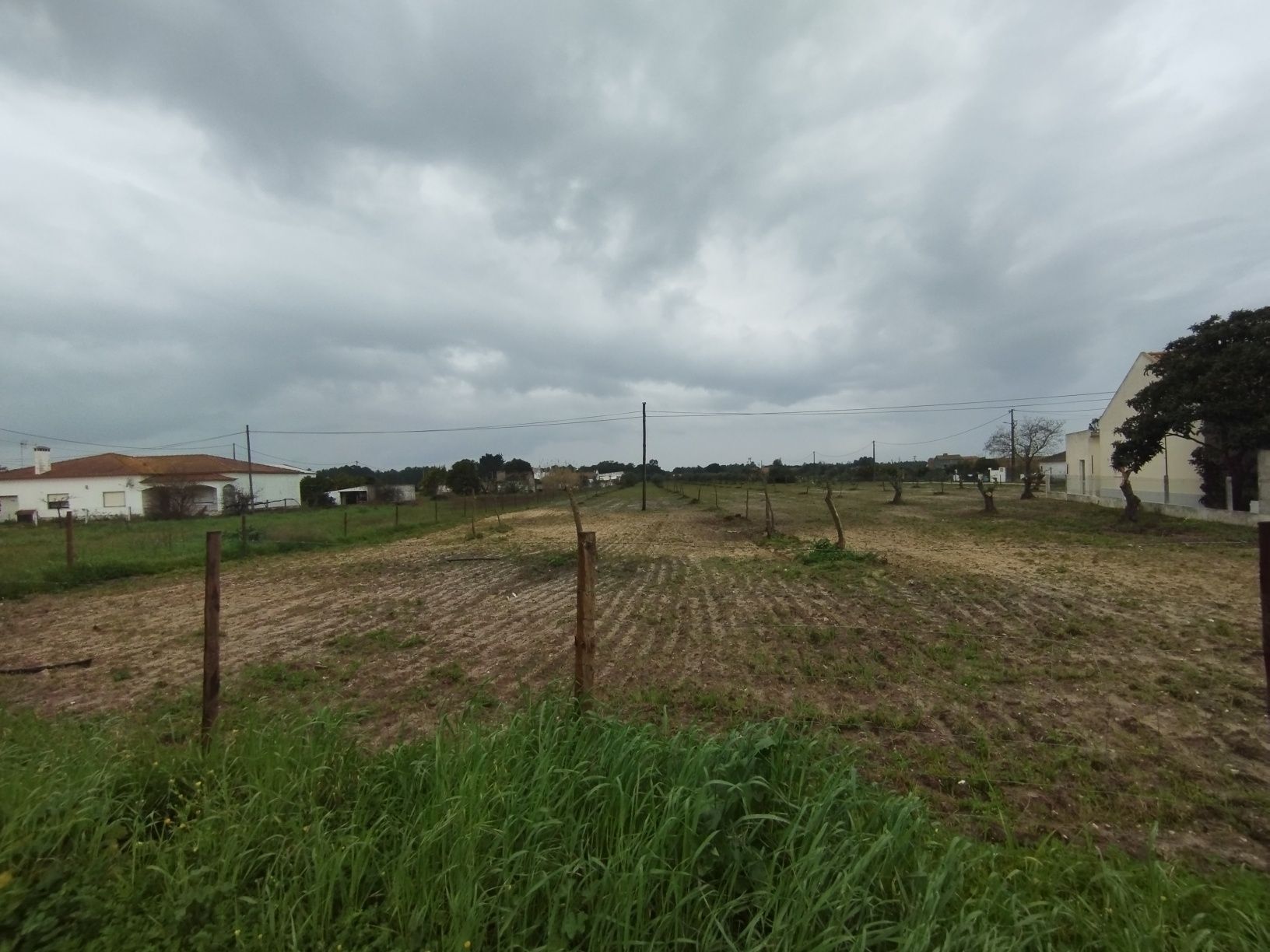 Terrenos para alugar em Grândola