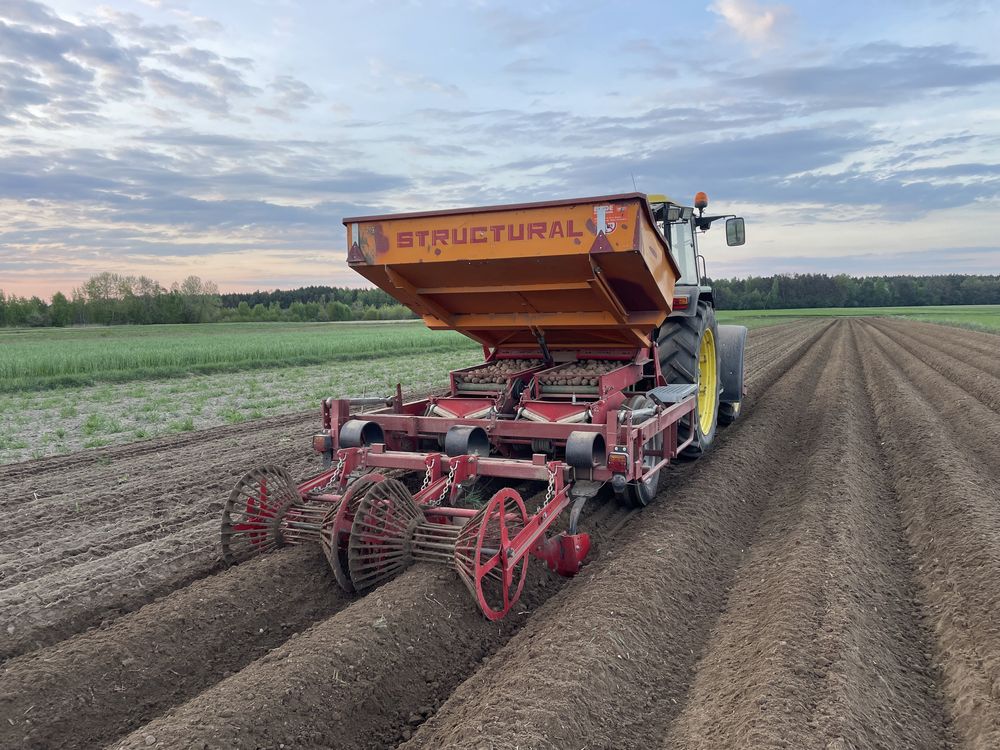 Sadzarka Structural Miedema 2x75cm 1999r. Formownica Koszowa Grimme