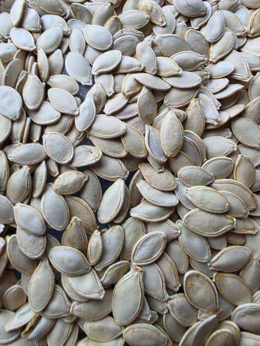 Гарбузове насіння, тыквенные  семечки