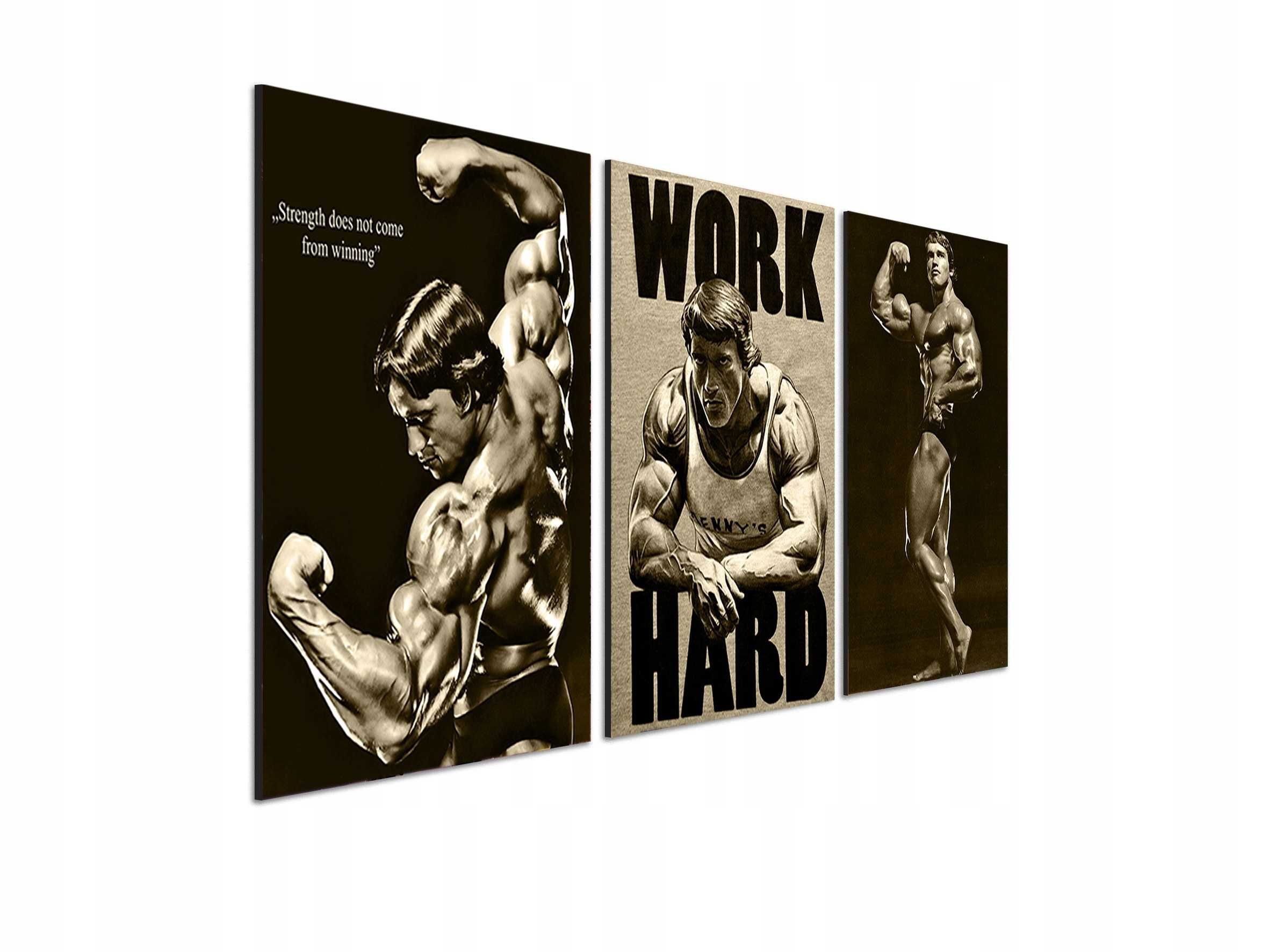 Zestaw 3 Plakatów Na Ściane - Arnold Schwarzenegger Fitness Siłownia