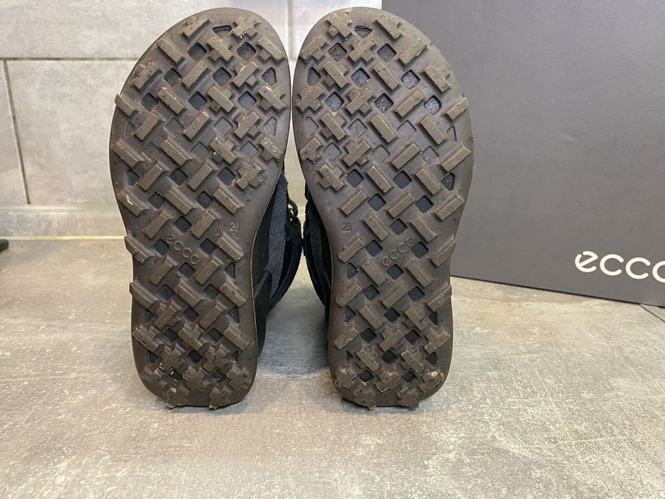 Зимові черевики Ecco Biom K2