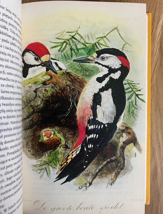 Simona Kossak o ziołach i zwierzętach