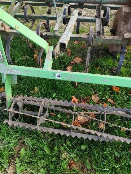 Sprzedam byczka ze zdjecia