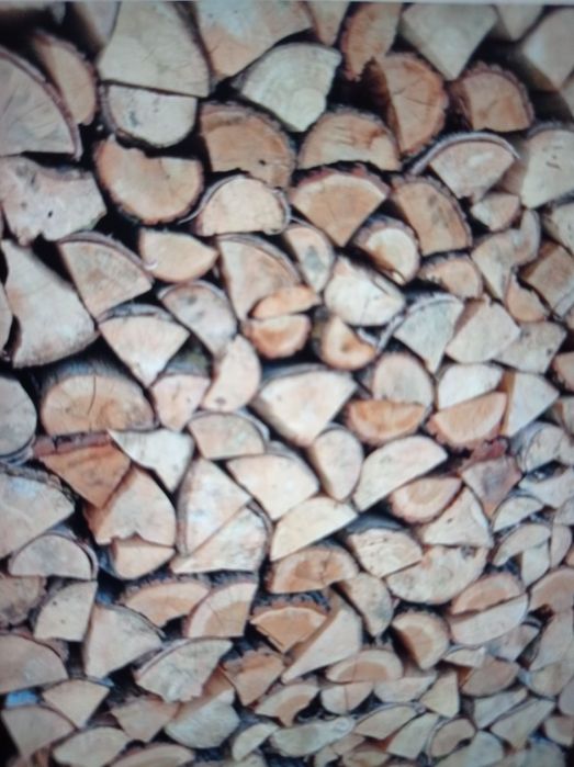 Brzoza sosna olszyna grab opał drzewo drewno