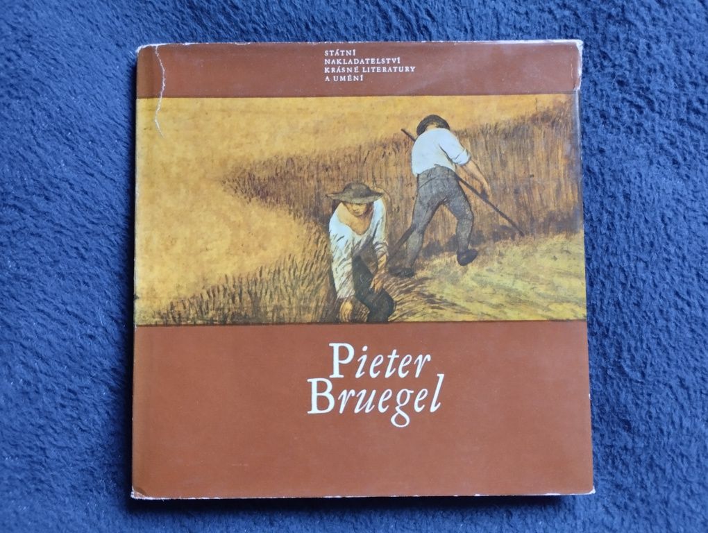 Pieter Bruegel. Album o sztuce
