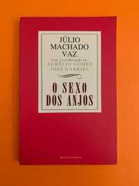 O sexo dos anjos  - Júlio Machado Vaz