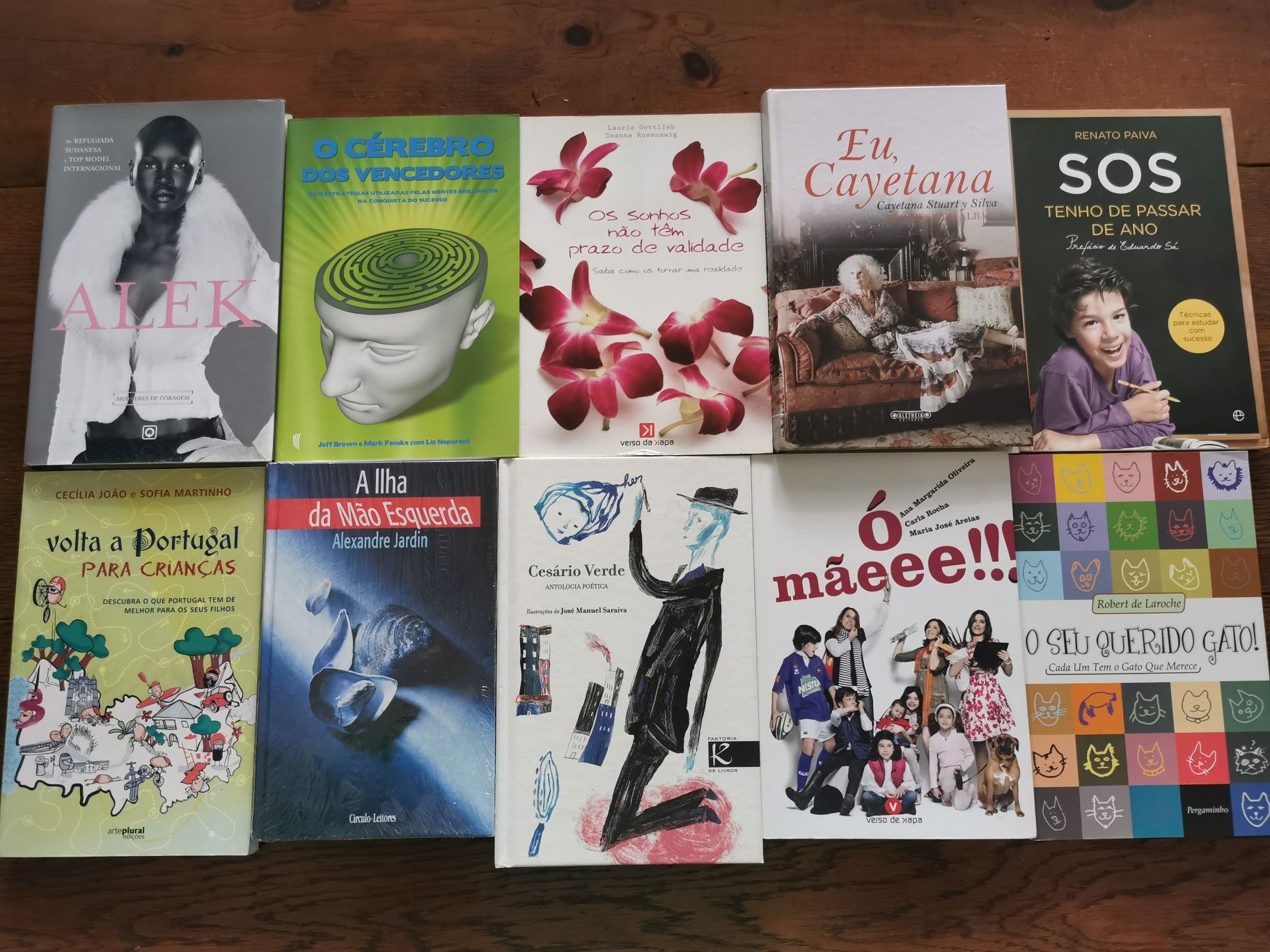 Livros - Diversos Autores (NOVOS)