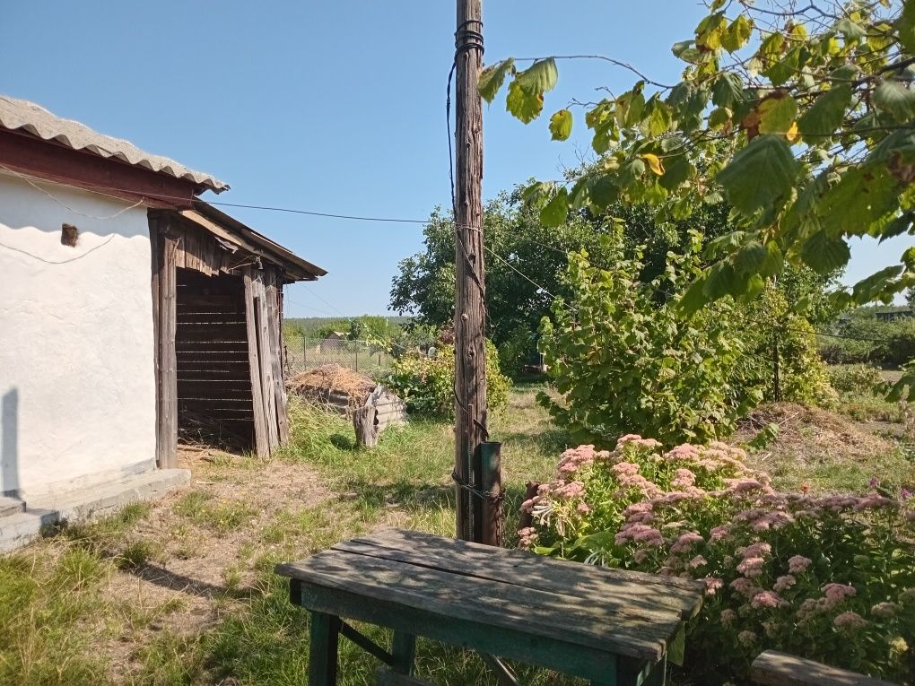 Продається будинок с. Звенигородка