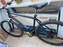 Велосипед Carver L 29”