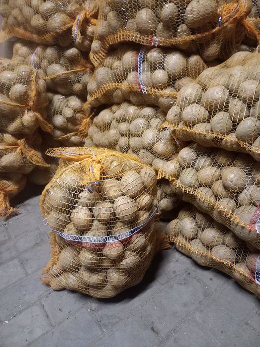 Ziemniaki Gala Bernina