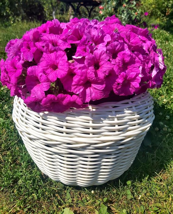 Кашпо з ротангу ручной робити