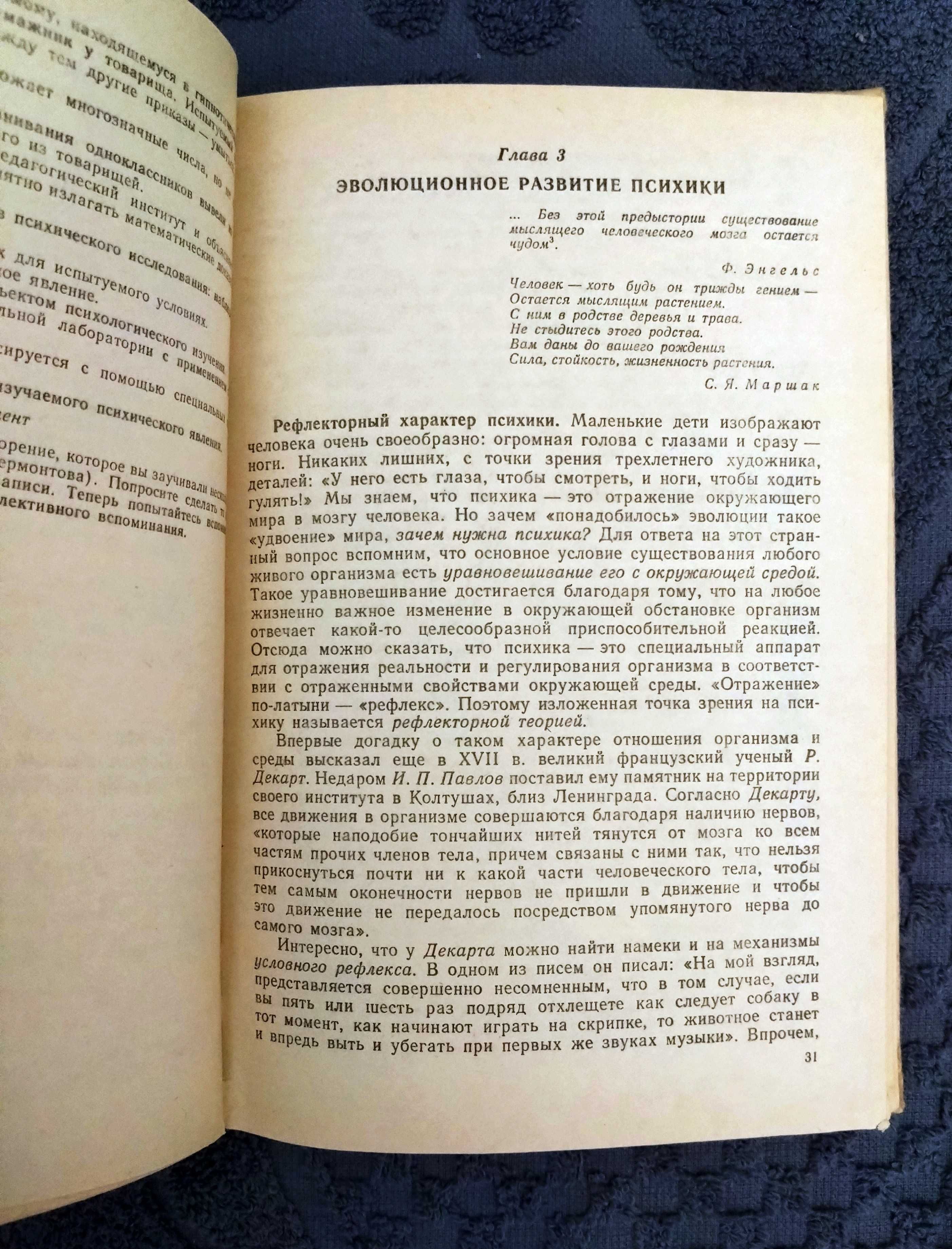 Коломинский Я.Л. Человек: психология.